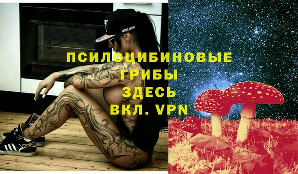 мет Абаза