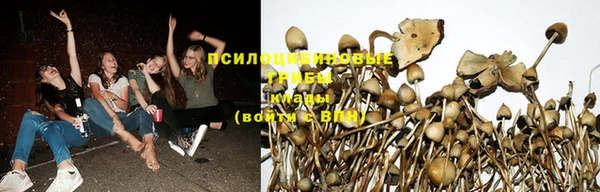 прущая мука Алзамай