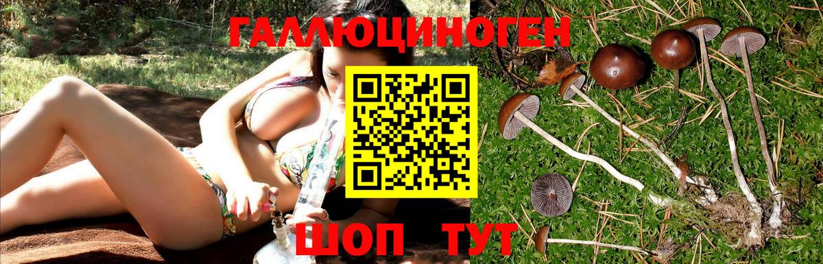 Галлюциногенные грибы прущие грибы  Вход с VPN  где найти наркотики  Десногорск 